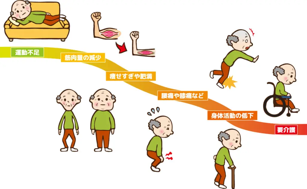 ロコモティブシンドロームの悩みを解決 | カイロプラクティック＋運動